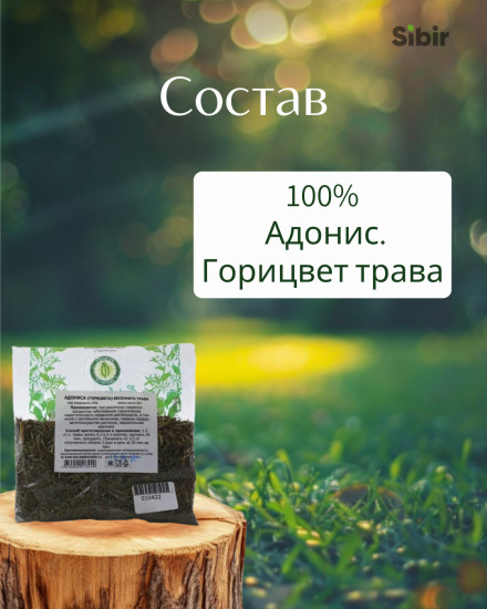 Адонис. Горицвет трава