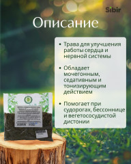 Адонис. Горицвет трава - Фото 1