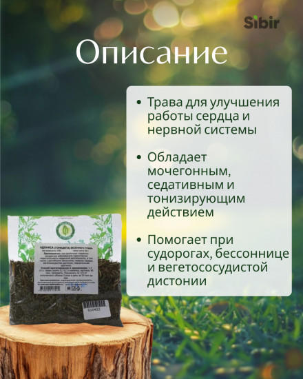 Адонис. Горицвет трава