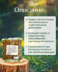 Дрока красильного трава - Фото 1