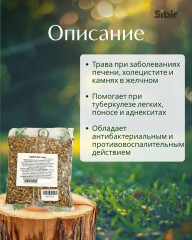 Живучки трава - Фото 1