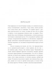 Шёпот гримуара - Фото 7