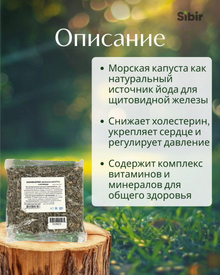 Ламинарии (морская капуста) слоевища