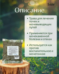 Подмаренника цепкого трава - Фото 1