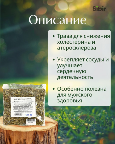 Якорцев стелющихся трава