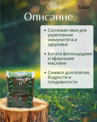 Хвоя сосны - Фото 1