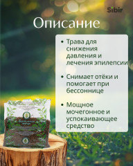 Шикши трава - Фото 1