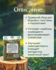 Сбор травяной «Гельминтам (глистам) и паразитам — стоп» - Фото 1