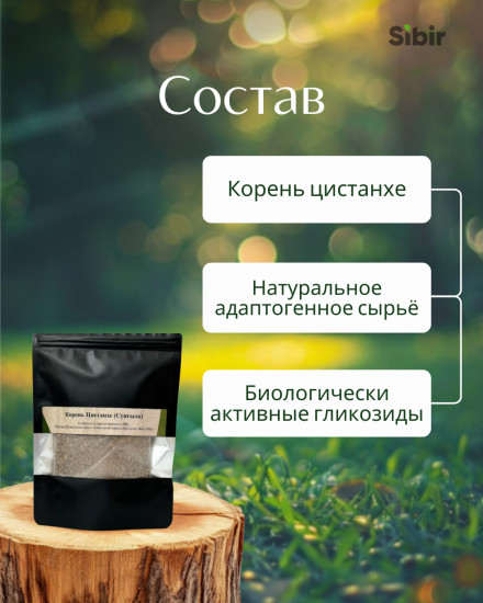 Фиточай Цистанхе (женьшень пустыни, корень сунгыла)