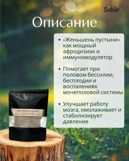 Фиточай Цистанхе (женьшень пустыни, корень сунгыла)