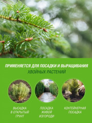 Грунт для хвойных растений - Фото 3