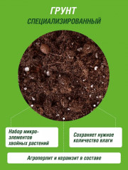 Грунт для хвойных растений - Фото 4