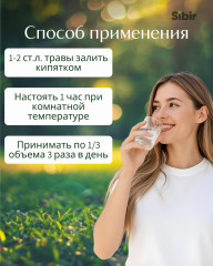 Тысячелистника трава - Фото 2