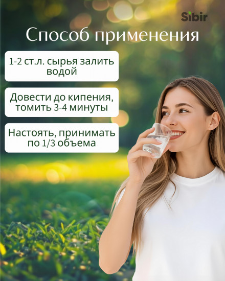 Таволги шестилепестной корневища с корнями