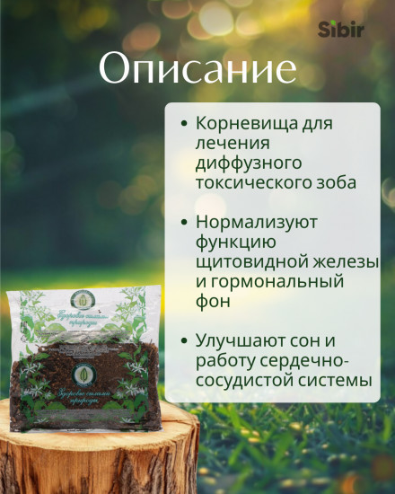 Таволги шестилепестной корневища с корнями