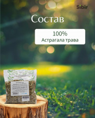 Астрагала трава - Фото 3