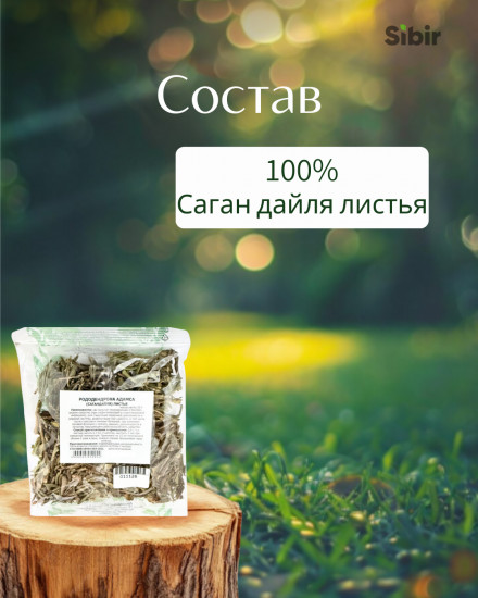 Саган дайля листья