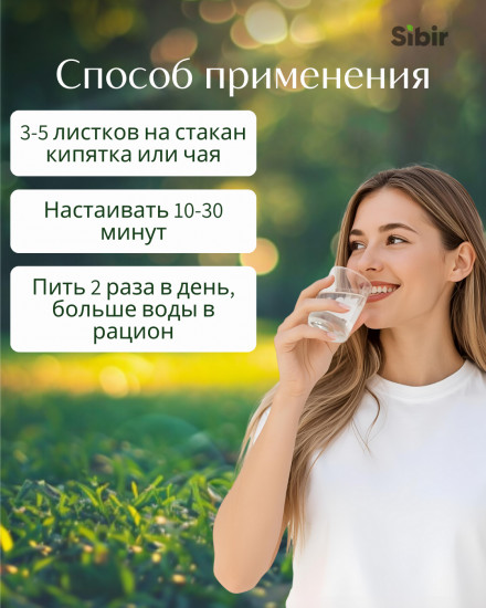 Саган дайля листья