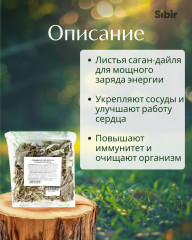 Саган дайля листья - Фото 1