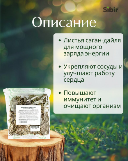 Саган дайля листья