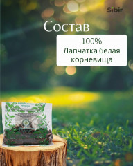 Лапчатка белая корневища - Фото 3