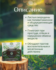 Смородины листья - Фото 1