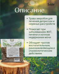 Зверобоя трава - Фото 1