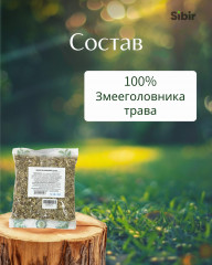 Змееголовника трава - Фото 3