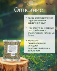 Змееголовника трава - Фото 1