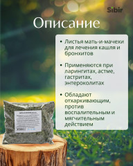 «Мать и мачеха» листья - Фото 1