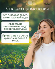 Расторопши плоды - Фото 2