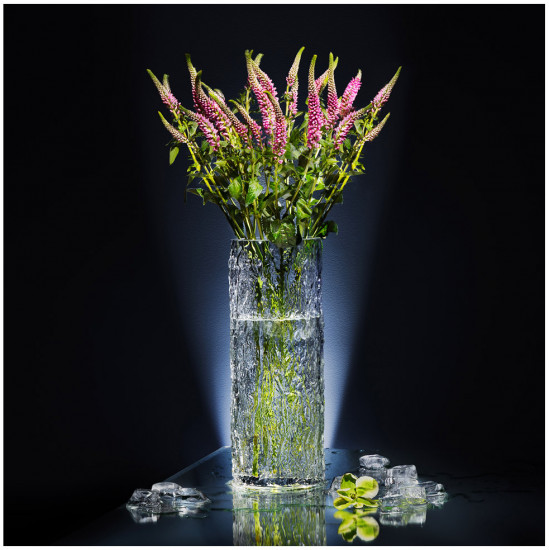 Ваза для цветов «Glass Nature»
