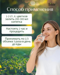 Клевера цветки - Фото 2