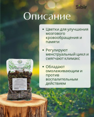 Клевера цветки - Фото 1