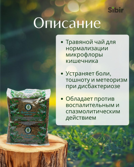 Курильский чай трава