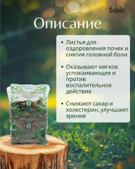 Брусники листья - Фото 1