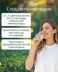 Бузины цветки - Фото 2