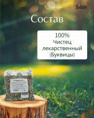 Чистец лекарственный (Буквицы) - Фото 3