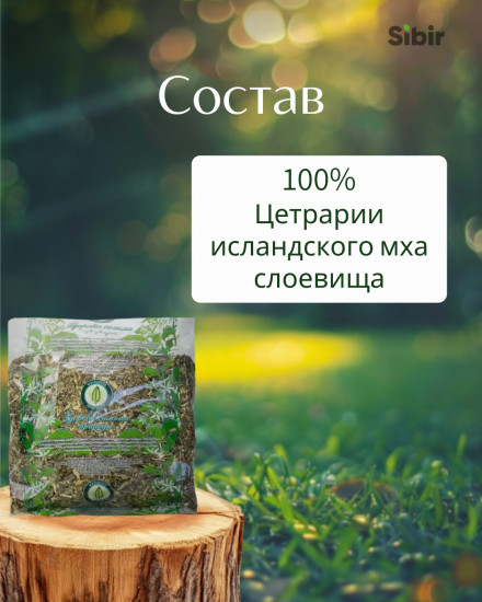 Исландский мох