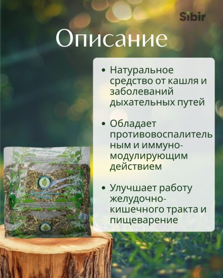 Исландский мох