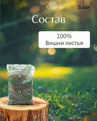 Вишни листья - Фото 3