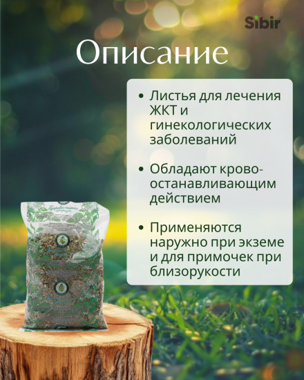 Вишни листья