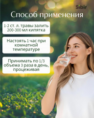 Шалфея трава - Фото 2