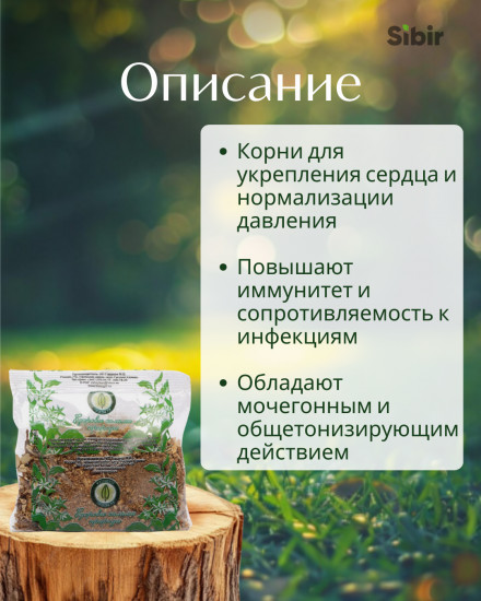 Заманихи корни