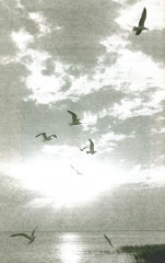 Руссиада. Утерянный рай. Непуганое поколение. Благие пожелания - Фото 2