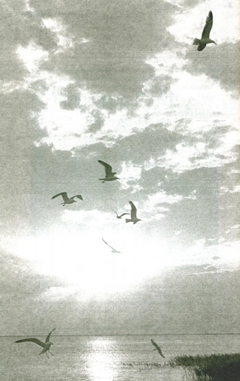 Руссиада. Утерянный рай. Непуганое поколение. Благие пожелания