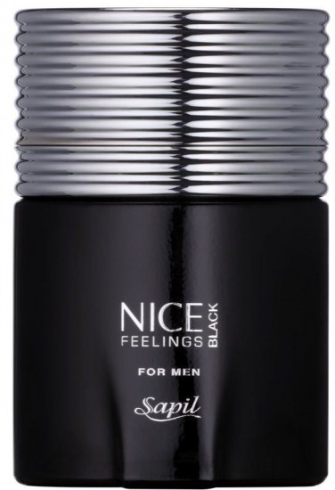 Туалетная вода «Nice Feeling Black»
