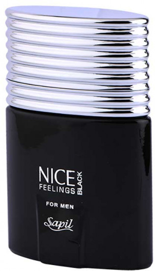 Туалетная вода «Nice Feeling Black»