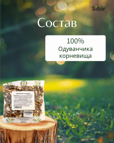 Одуванчика корневища