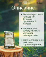 Сбор монастырский при щитовидной железе №8 - Фото 1